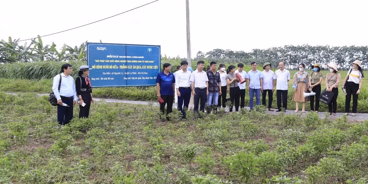 Phát triển sản xuất nông nghiệp theo hướng kinh tế tuần hoàn ở Hà Nam