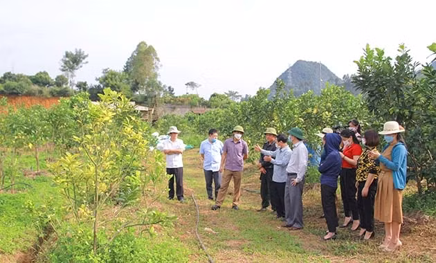 Sản xuất nông sản an toàn, góp phần bảo vệ môi trường
