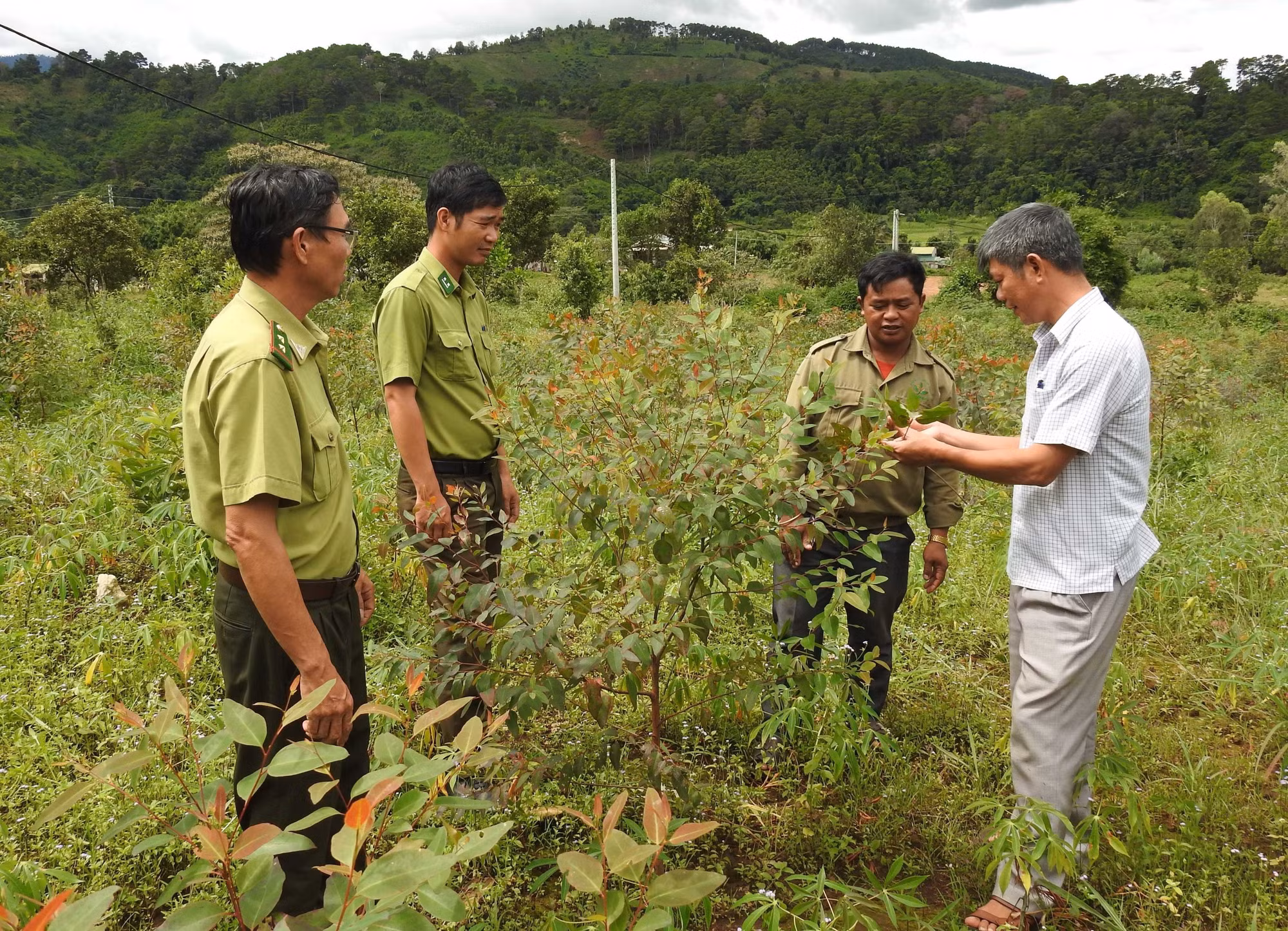 Kon Tum hướng tới quản lý, bảo vệ và phát triển rừng bền vững
