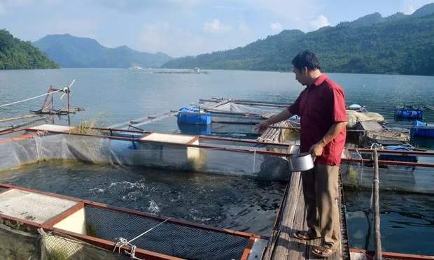 Xây dựng thương hiệu cá sông Đà