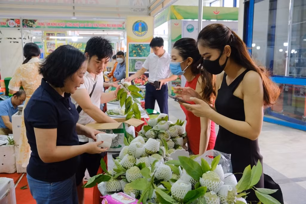 Na Lạng Sơn thu hút sự quan tâm của người tiêu dùng Thủ đô. Ảnh: bnews.vn