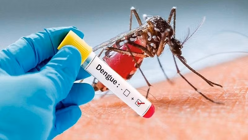 Gia Lai chủ động ứng phó với sốt xuất huyết Dengue