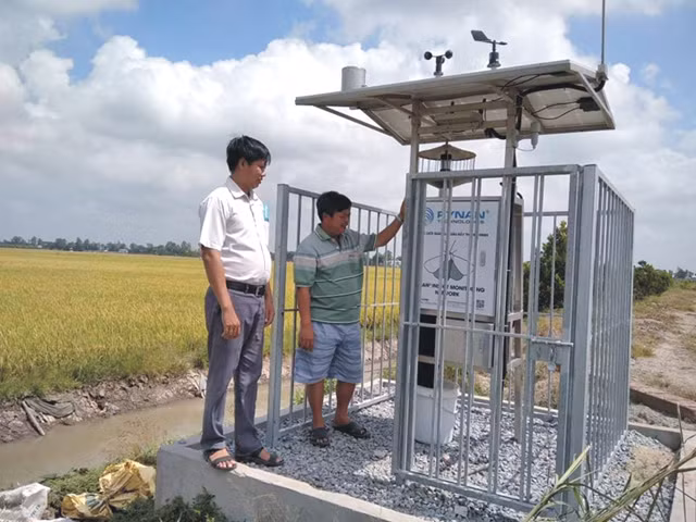 Đồng Tháp ứng dụng hiệu quả công nghệ trong dự tính, dự báo sâu bệnh