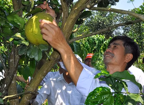Làm giàu nhờ biết đa canh