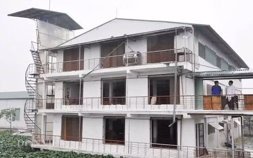 "Chung cư lợn" độc đáo