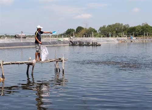 Đổi thay ở An Thới Đông