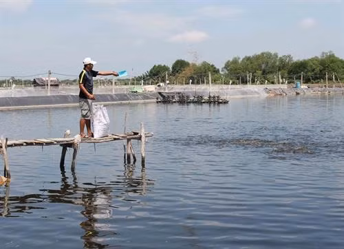 Phát triển bền vững ngành thủy sản Việt Nam (Bài 1)