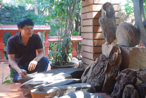 Người mê đá cổ triệu năm tuổi