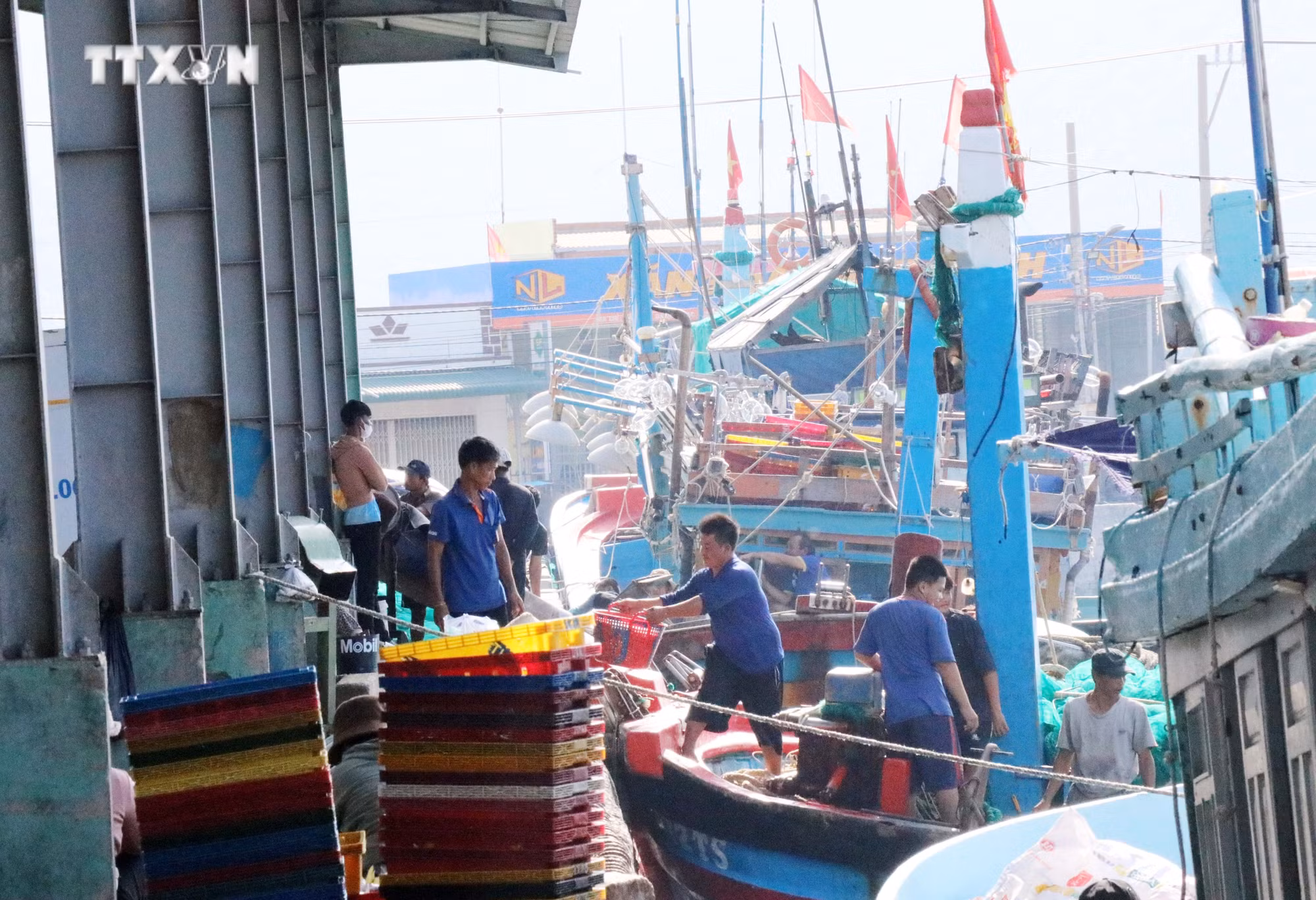 vna_potal_ninh_thuan_phat_trien_huyen_thuan_nam_thanh_vung_kinh_te_trong_diem_phia_nam_7623886.jpg