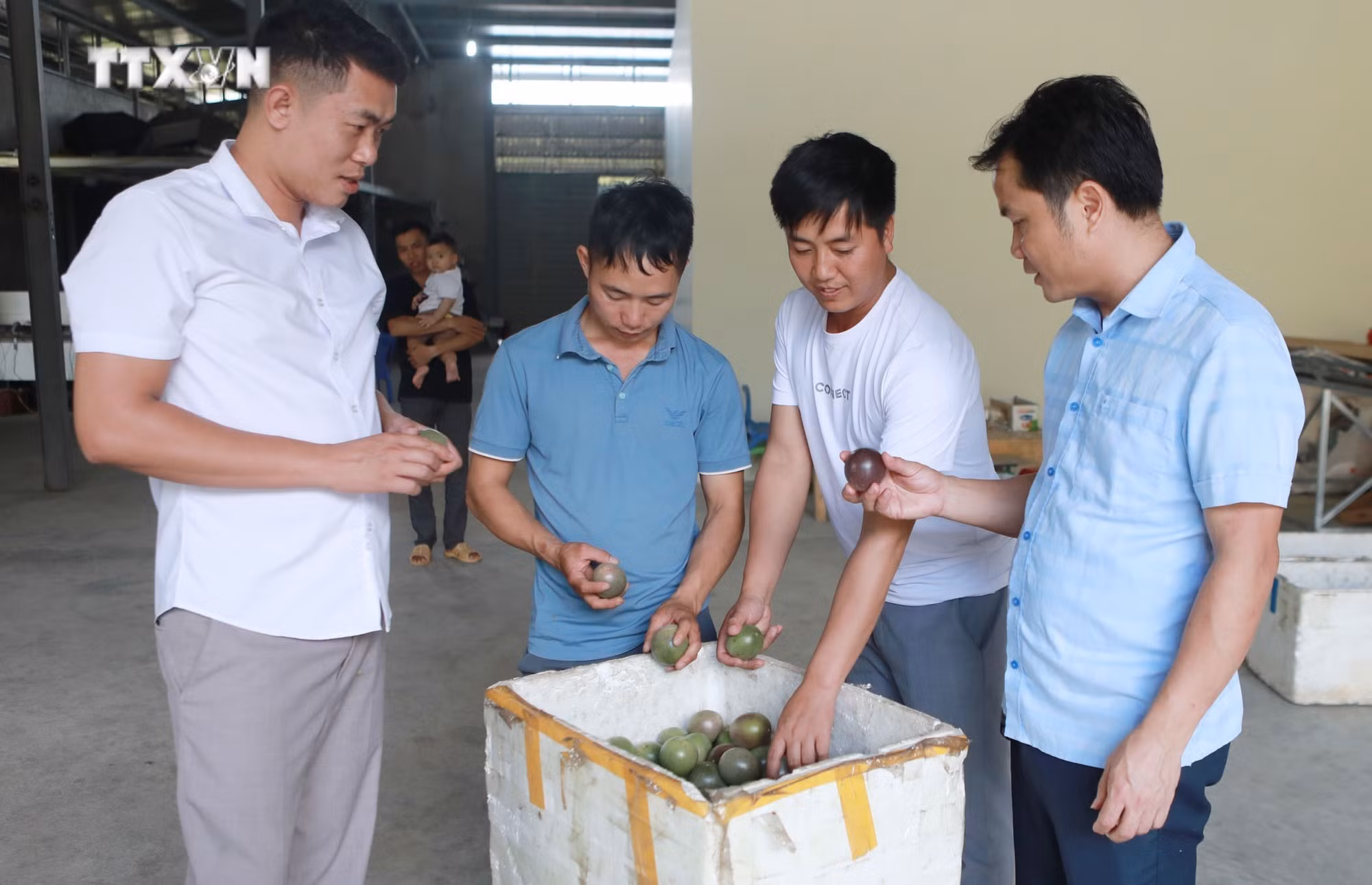 vna_potal_cay_chanh_leo_giup_nguoi_dan_cac_xa_vung_cao_tam_duong_lai_chau_thoat_ngheo__7677073.jpg