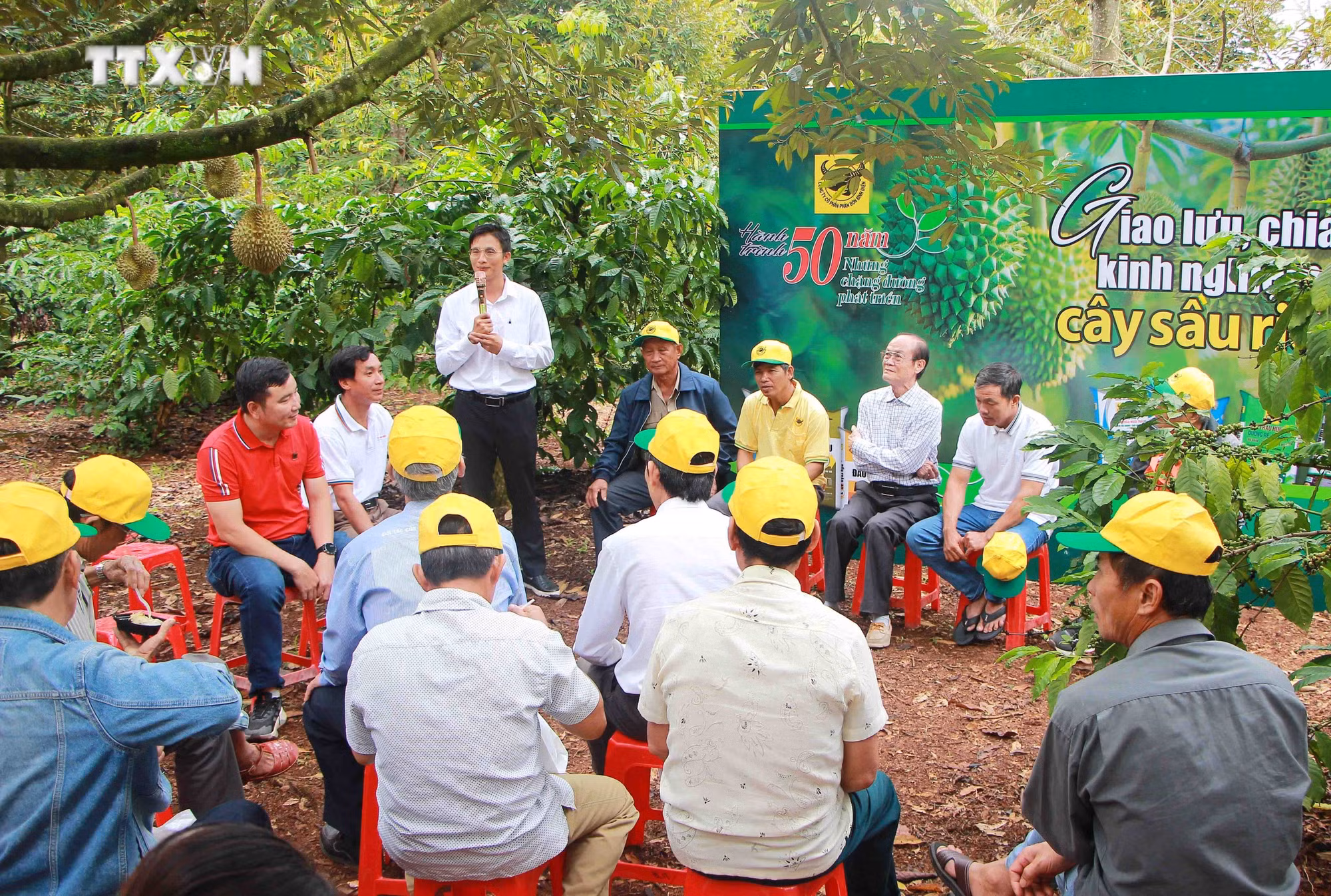 vna_potal_dak_lak_trai_nghiem_va_thuong_thuc_sau_rieng_tai_vuon_thu_hut_du_khach_7570460.jpg