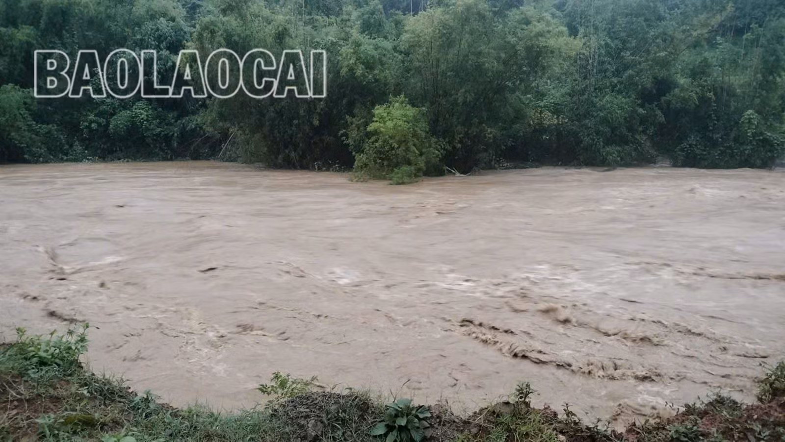 lao-cai-9924.jpg