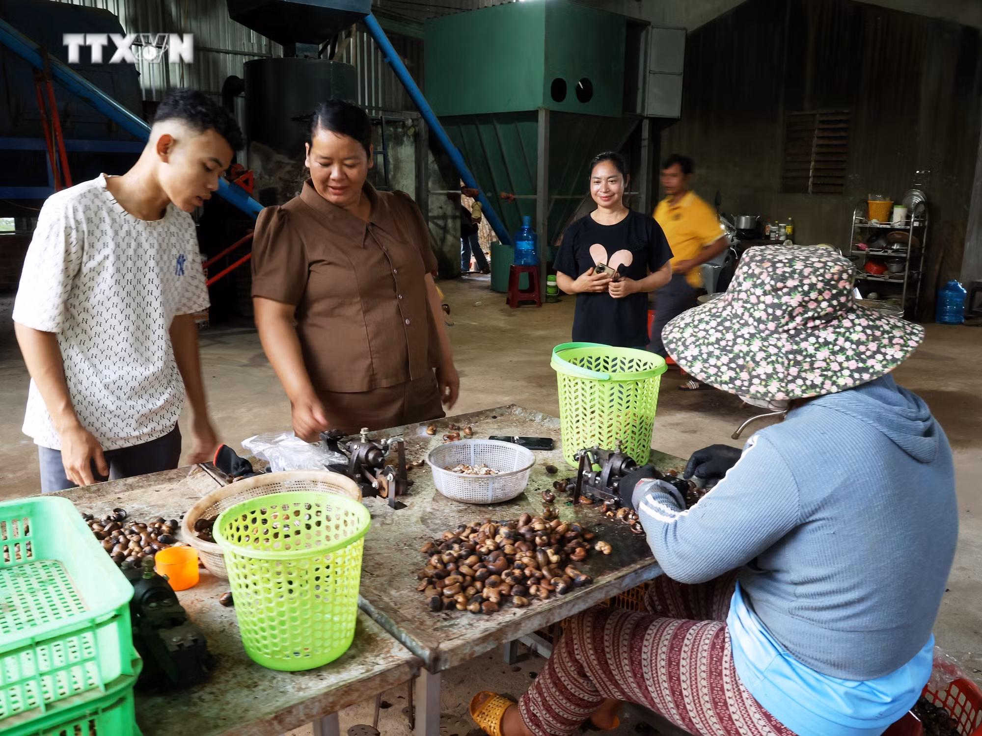 vna_potal_nguoi_phu_nu_dan_toc_thieu_so_tam_huyet_voi_nong_nghiep_sach_7637985.jpg