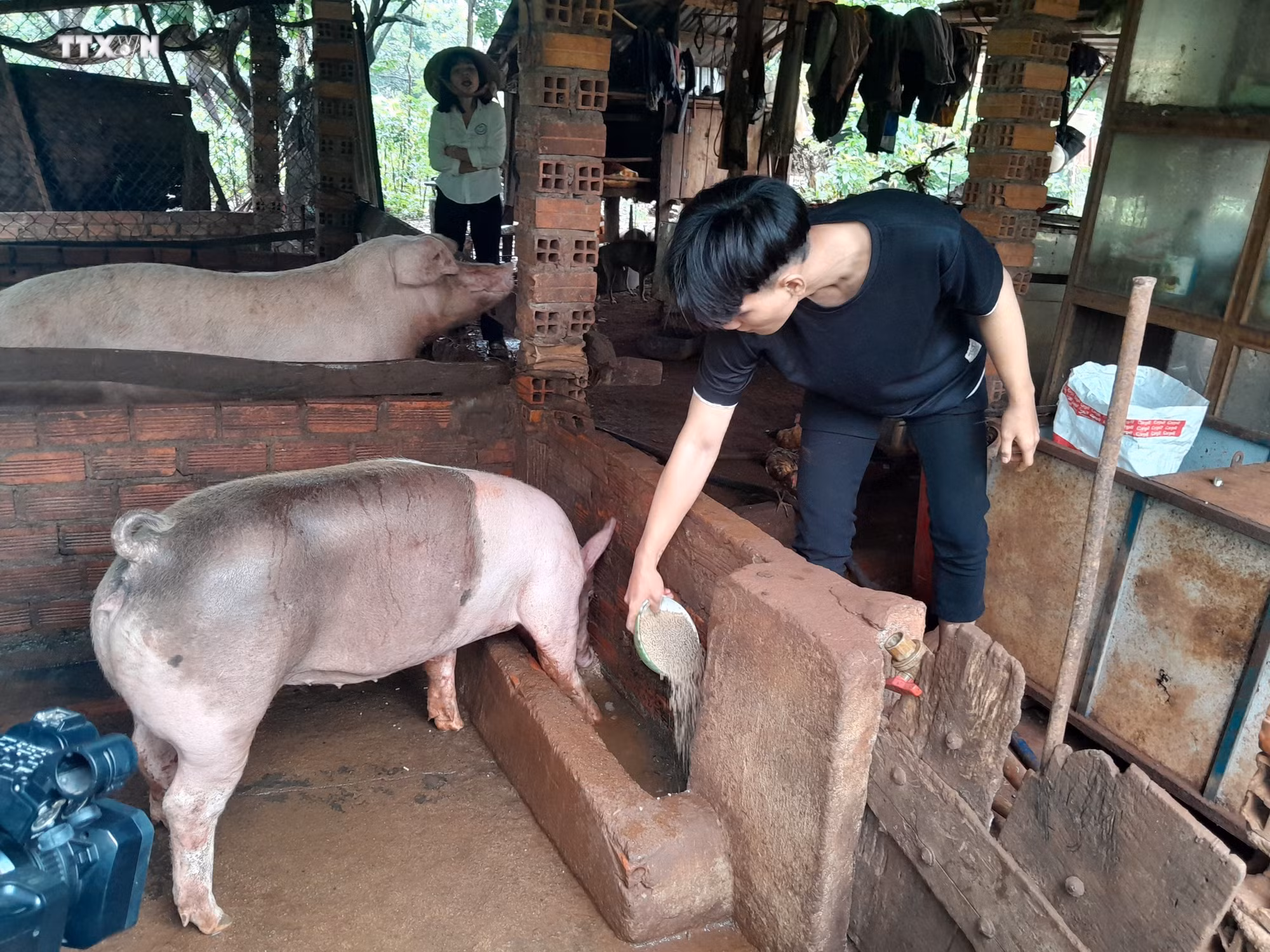 vna_potal_von_chinh_sach_giup_hoc_sinh_sinh_vien_dan_toc_thieu_so_vung_bien_binh_phuoc_vuot_kho_7514373.jpg