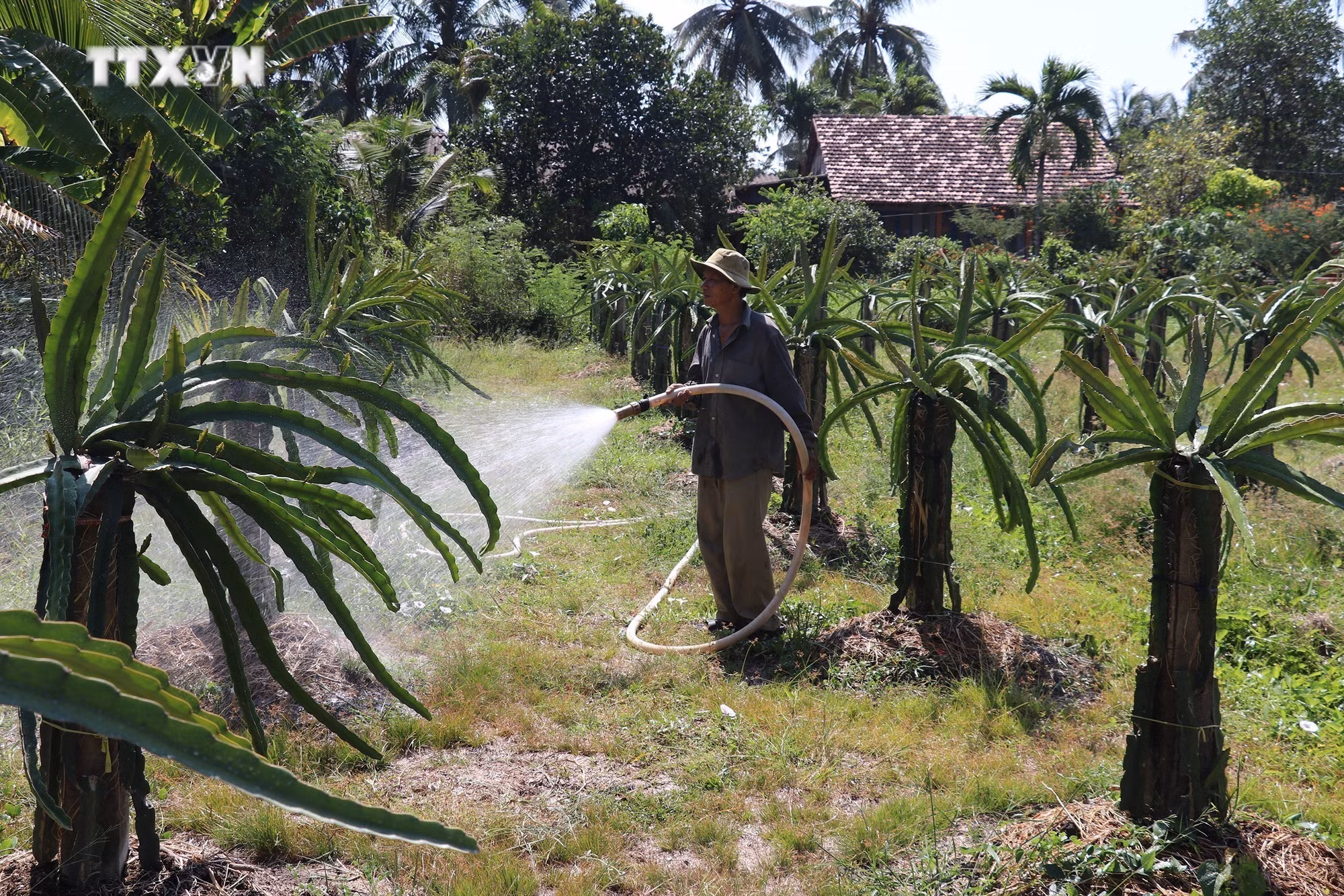 vna_potal_su_dung_tiet_kiem_nuoc_bao_ve_san_xuat_7279647.jpg