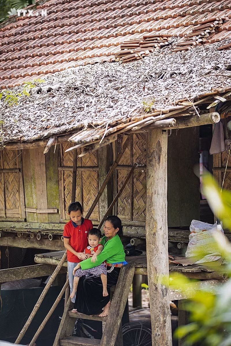 vna_potal_hoa_binh_binh_yen_noi_xom_muong_co_luy_ai_7553305.jpg