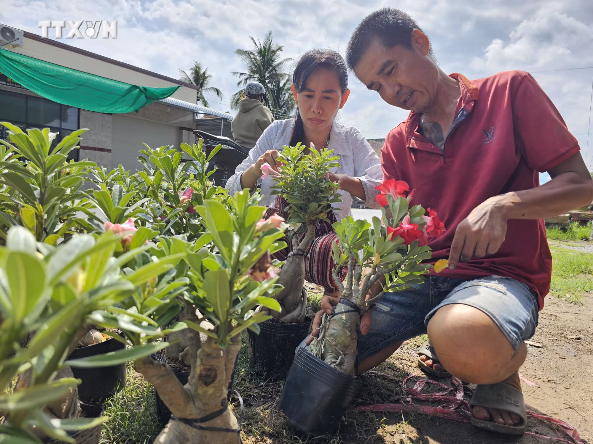 vna_potal_tin_dung_chinh_sach_dong_hanh_cung_nguoi_dan_ben_tre_7414985.jpg