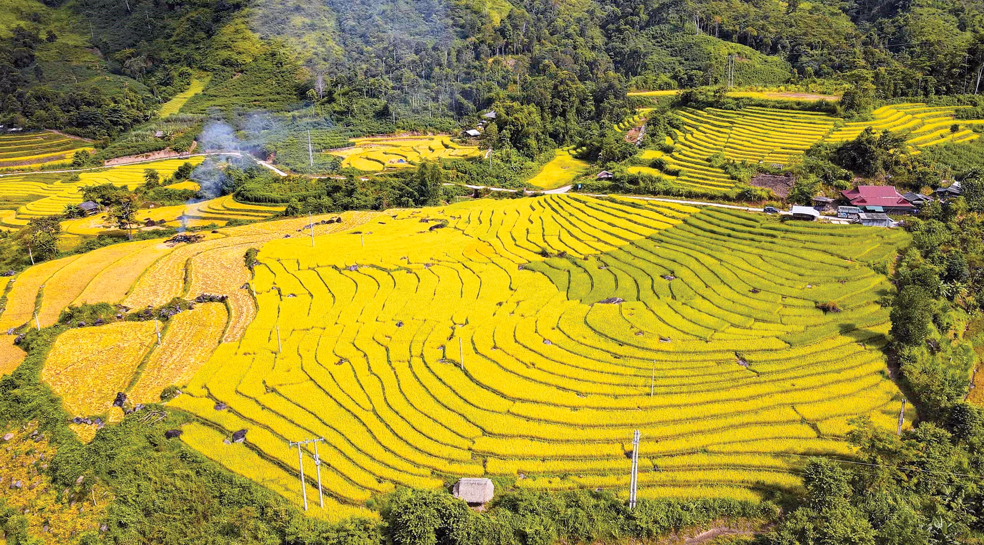 1-canh dong Huoi Thanh-xuan tu.jpg