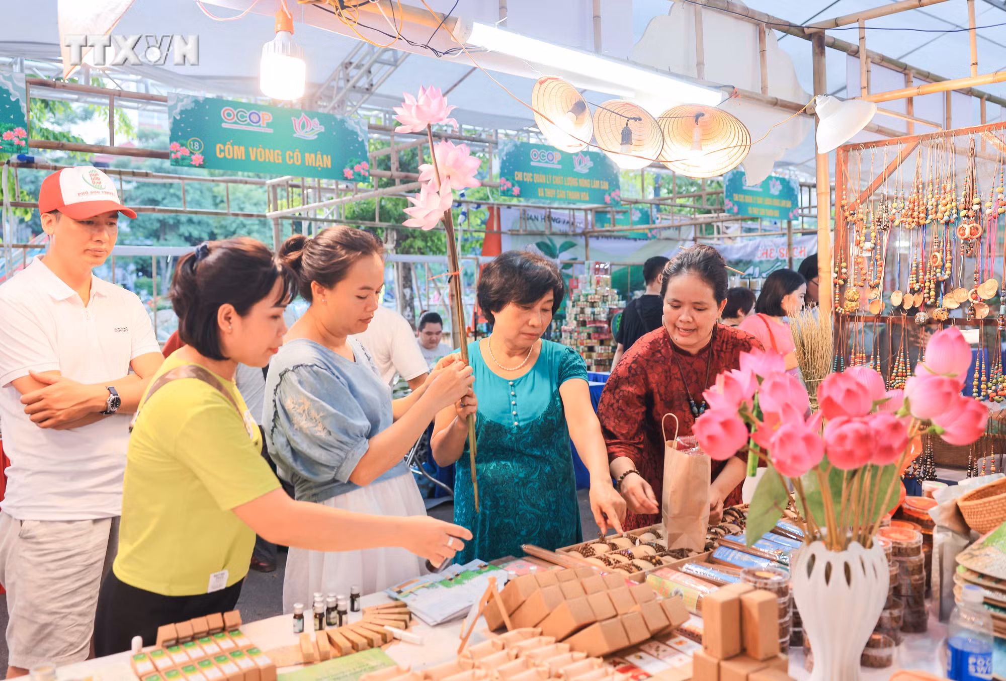 vna_potal_le_hoi_sen_ha_noi_thu_hut_su_quan_tam_cua_dong_dao_nhan_dan__7480952.jpg