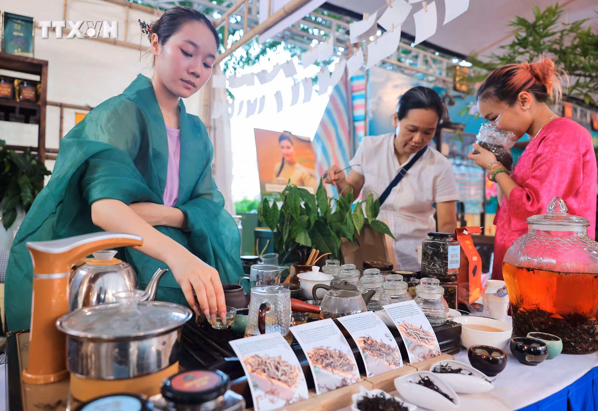 vna_potal_le_hoi_sen_ha_noi_thu_hut_su_quan_tam_cua_dong_dao_nhan_dan__7480954.jpg