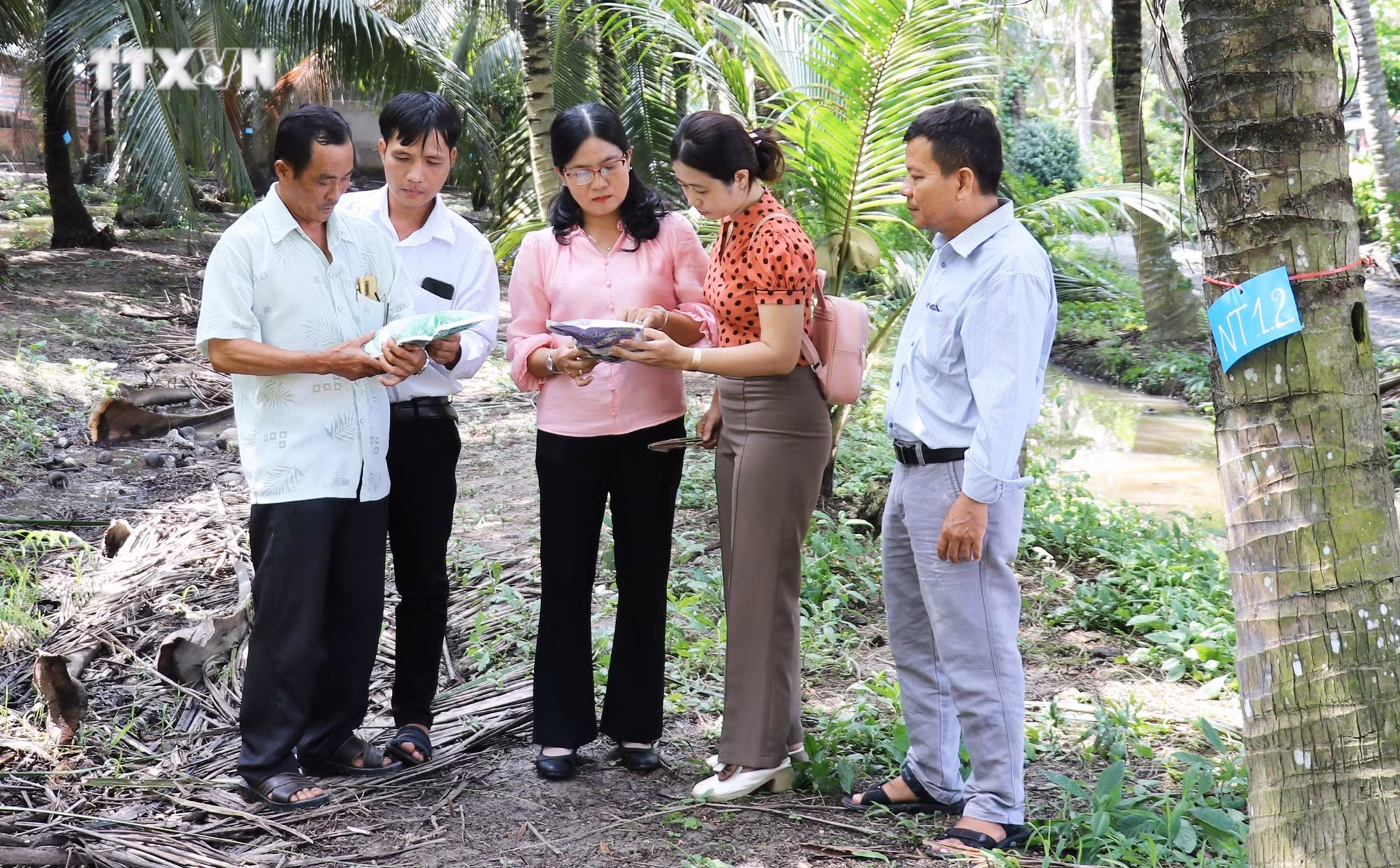 vna_potal_tien_giang_no_luc_khong_che_sau_dau_den_bao_ve_vuon_dua__7653761.jpg