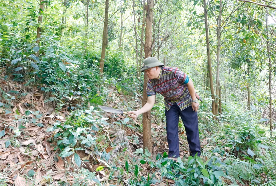 Phu Tho 1 - OK.jpg