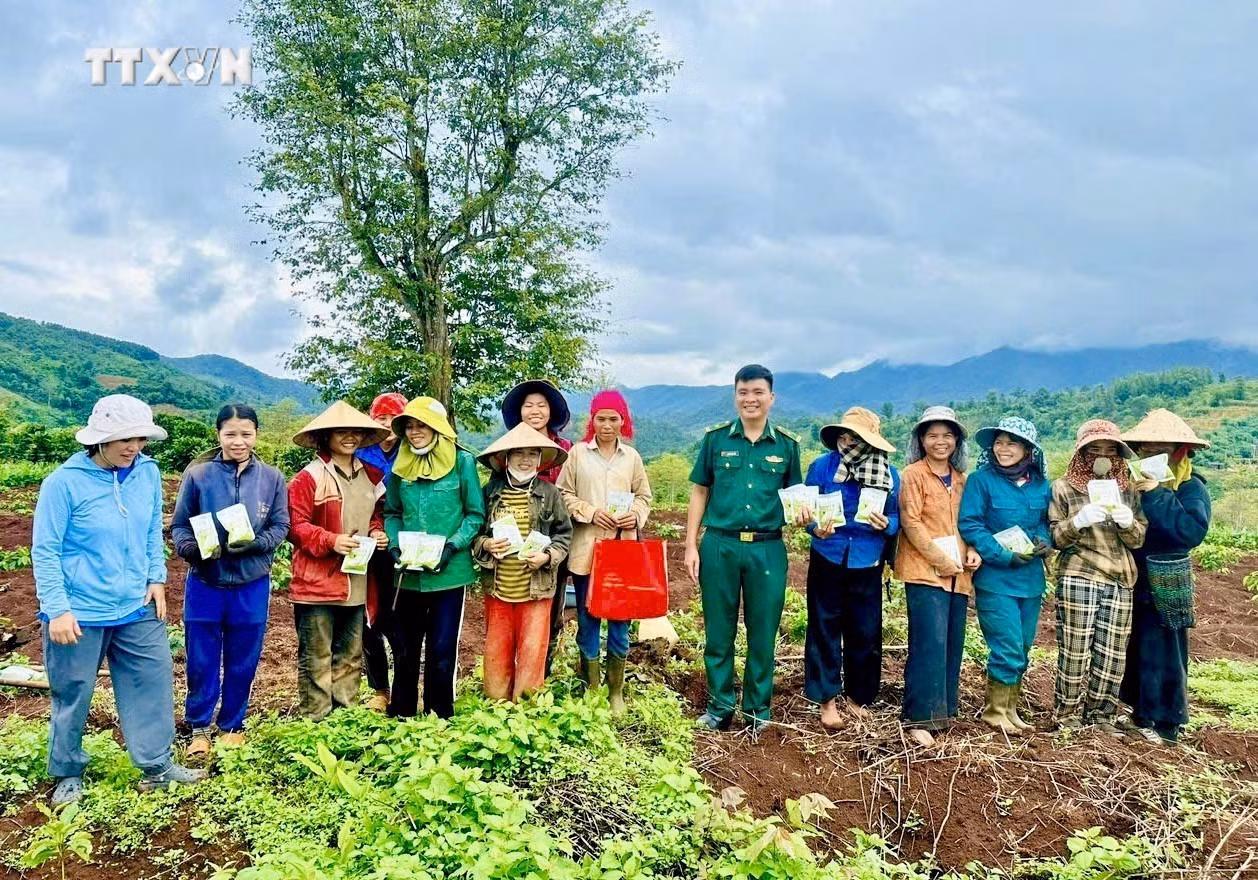 vna_potal_nguoi_linh_bien_phong_quang_tri_mang_mua_vang_no_am_den_dan_ban_7647710.jpg
