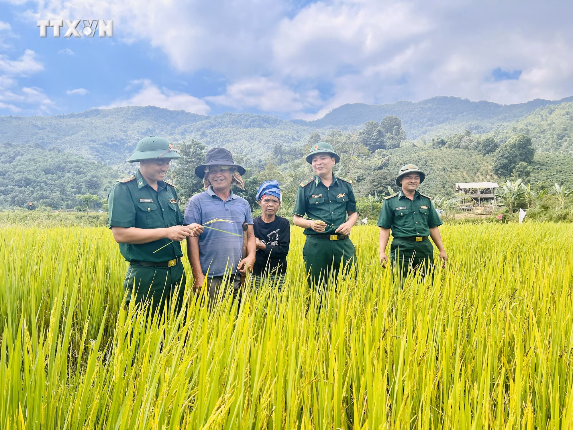 vna_potal_nguoi_linh_bien_phong_quang_tri_mang_mua_vang_no_am_den_dan_ban_7647714.jpg