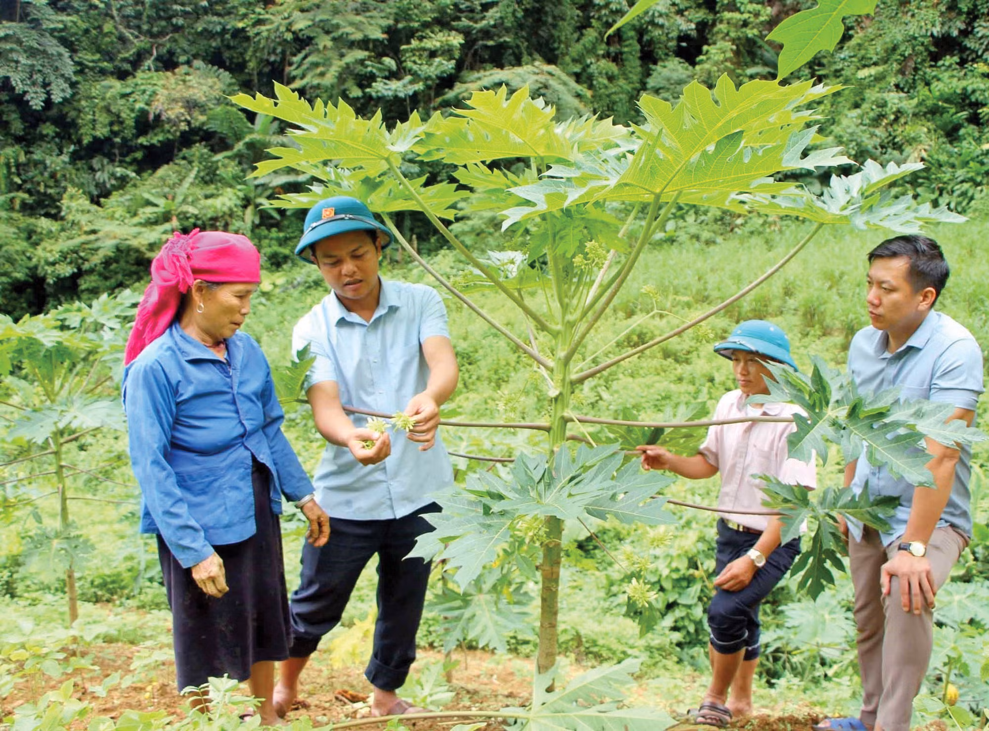 1-giam ngheo-lai chau-quy trung.jpg