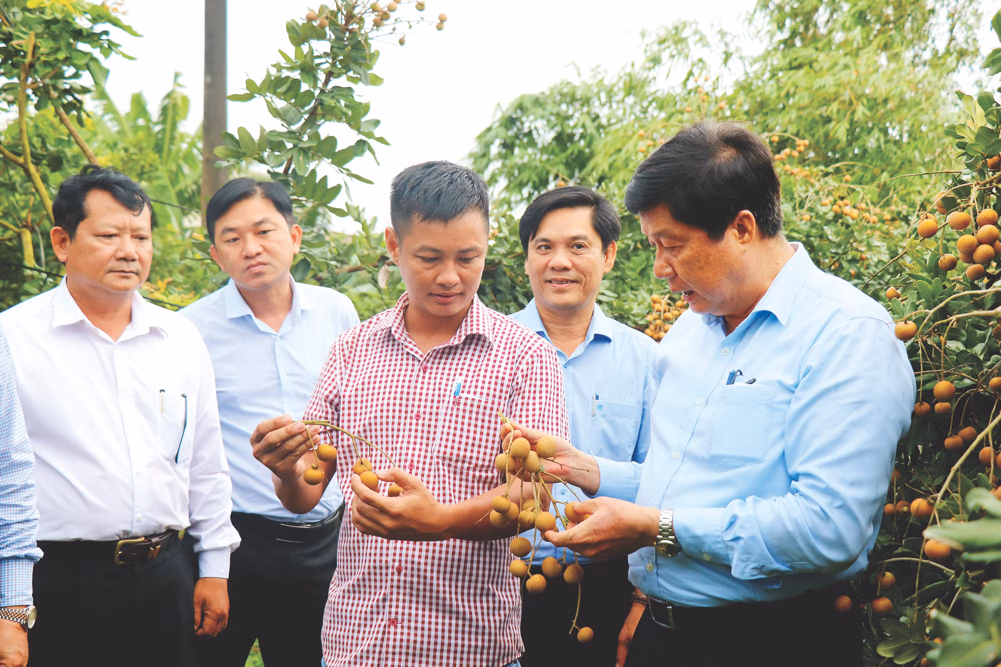 Bao anh dan toc va mien nui 26.JPG