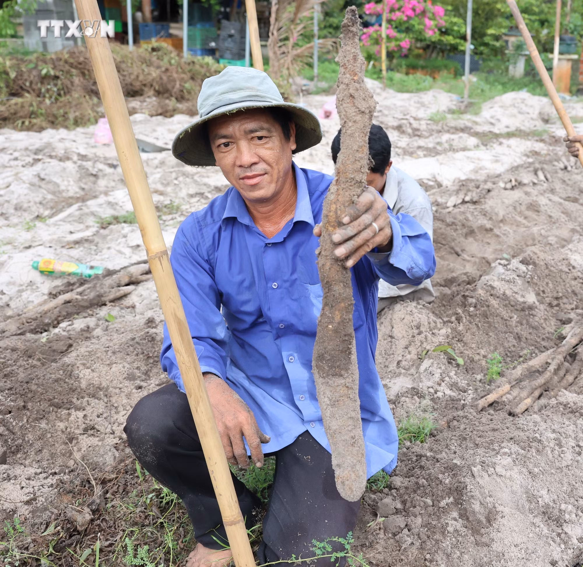 vna_potal_nong_dan_ba_ria-vung_tau_on_dinh_kinh_te_nho_trong_khoai_mai_tren_dat_cat__7628158.jpg