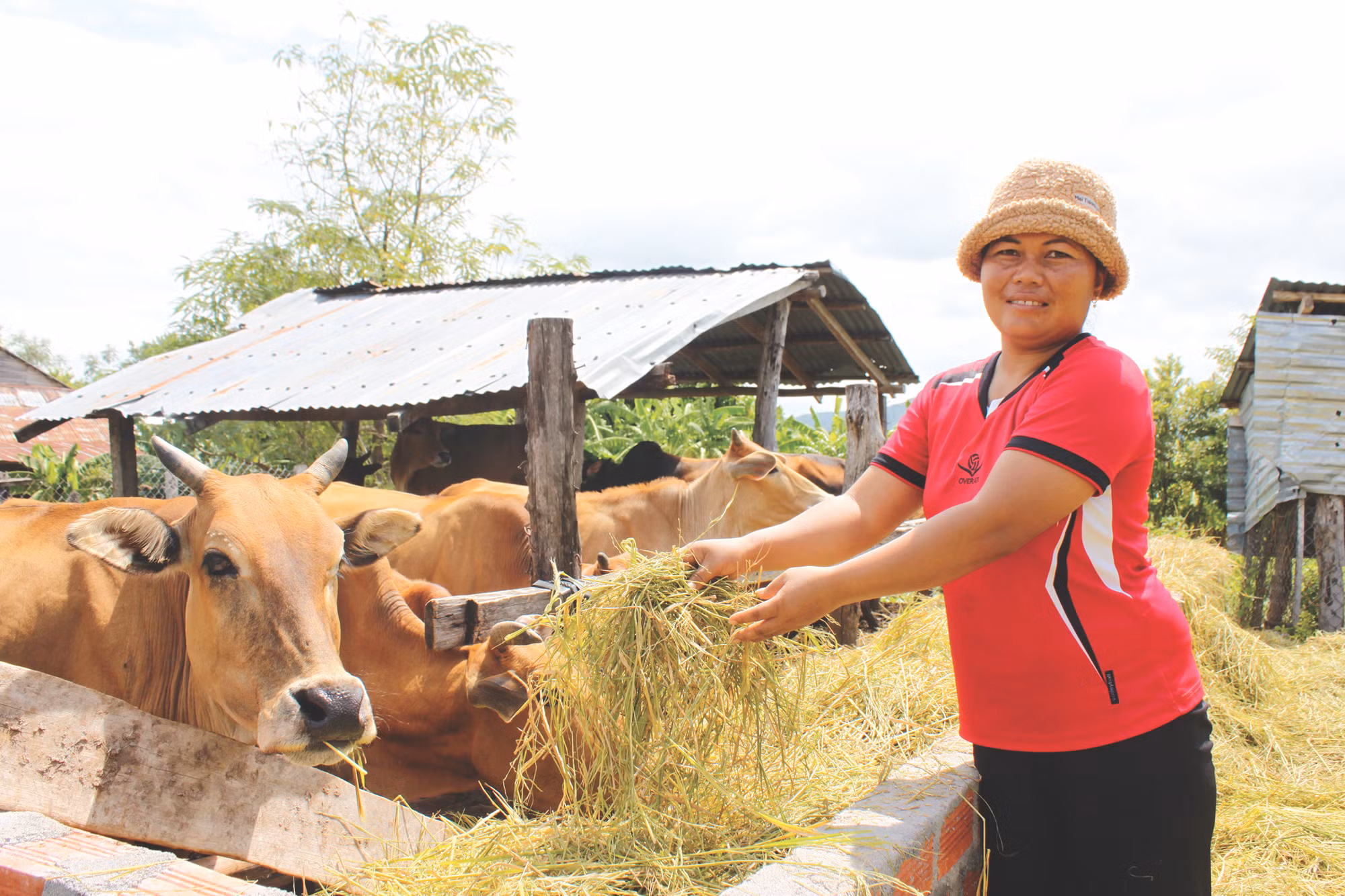 5-Chị Rah Lan H'Nguit làm gương trong việc di dời chuồng trại chăn nuôi ra khỏi gầm nhà sàn để giữ môi trường sống sạch sẽ.JPG