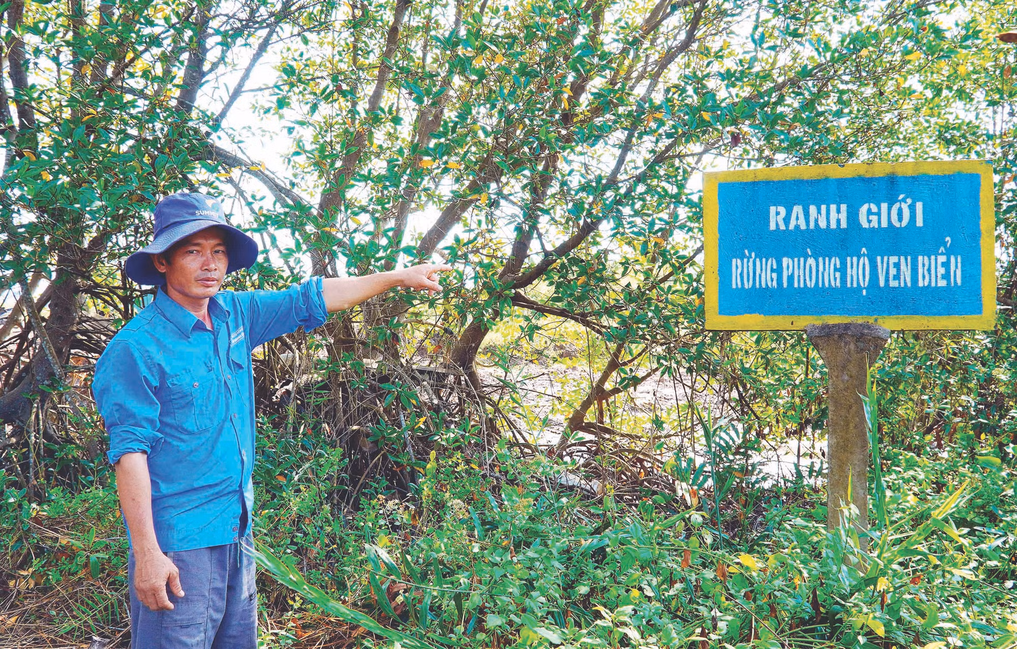 Phat trien kinh te gan bao ve rung o Kien Giang 1.jpg