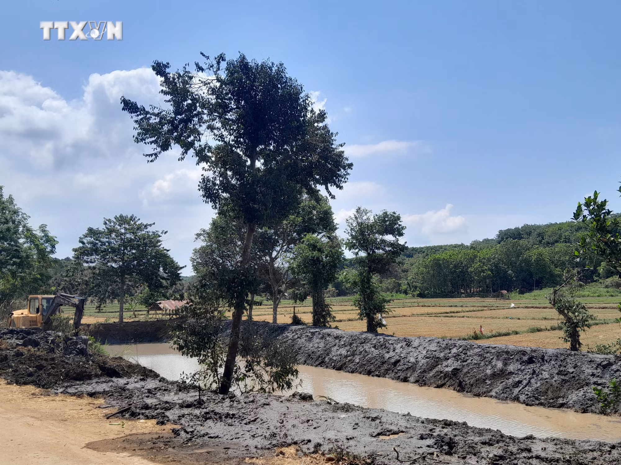 vna_potal_nguoi_dan_binh_phuoc_dao_ao_khoan_gieng_de_ung_pho_han_han_keo_dai_7335643.jpg