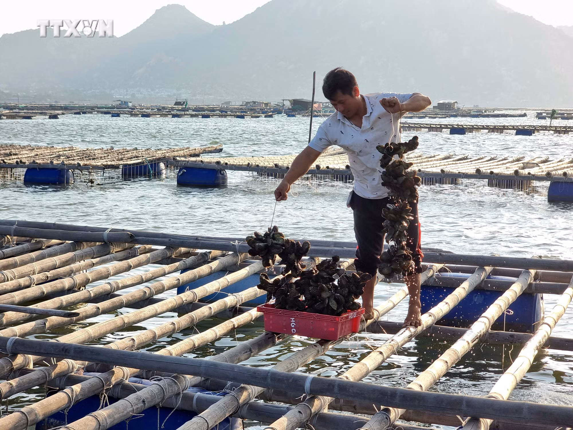 vna_potal_ninh_thuan_tang_cuong_huy_dong_cac_nguon_luc_xay_dung_nong_thon_moi_7584805.jpg