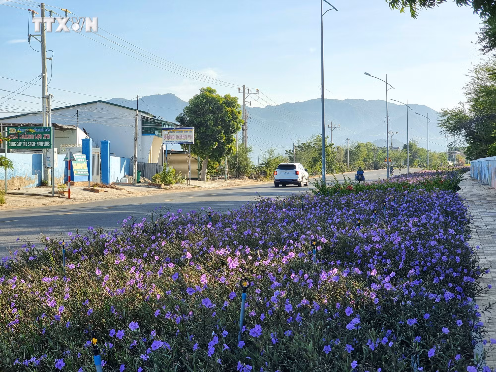 vna_potal_ninh_thuan_tang_cuong_huy_dong_cac_nguon_luc_xay_dung_nong_thon_moi_7584814.jpg