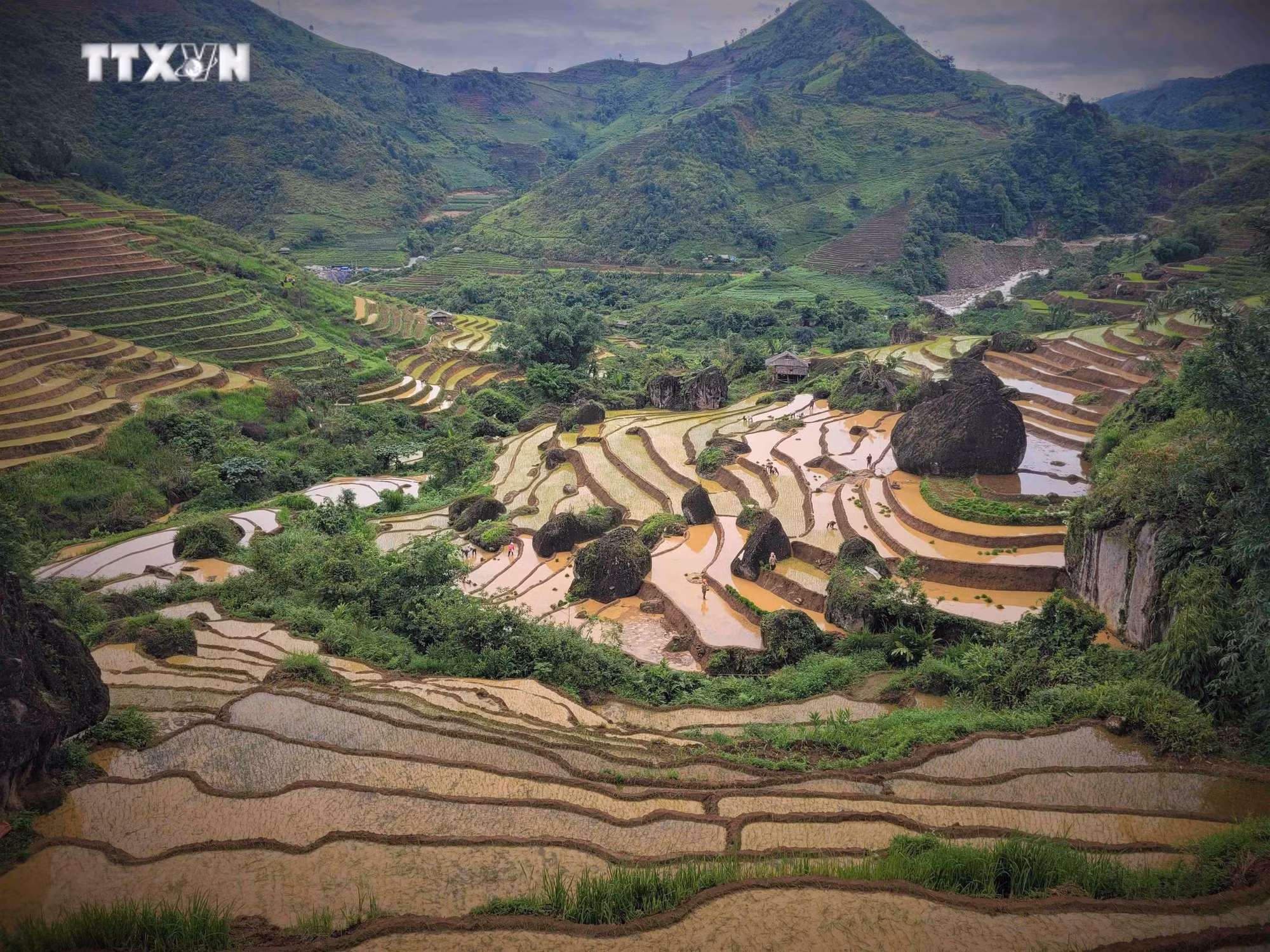 vna_potal_du_lich_viet_nam_ruong_bac_thang_khun_ha_vao_mua_nuoc_do_7417975.jpg