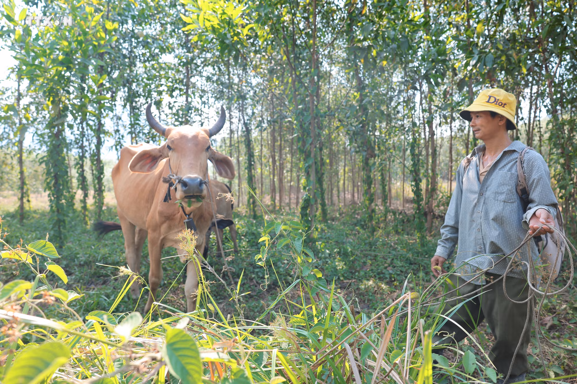 vna_potal_khanh_hoa_no_luc_giam_ngheo_nhung_van_con_nhieu_kho_khan_7557982.jpg