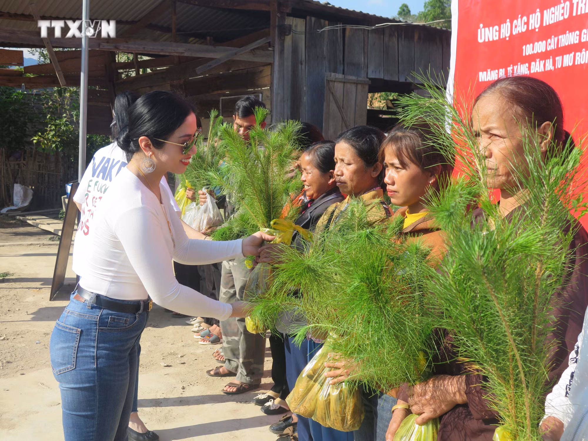 vna_potal_tang_100000_cay_thong_giong_cho_200_ho_dong_bao_xo_dang_ngheo_tinh_kon_tum_7293047.jpg