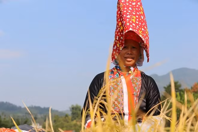 binhlieu.jpg
