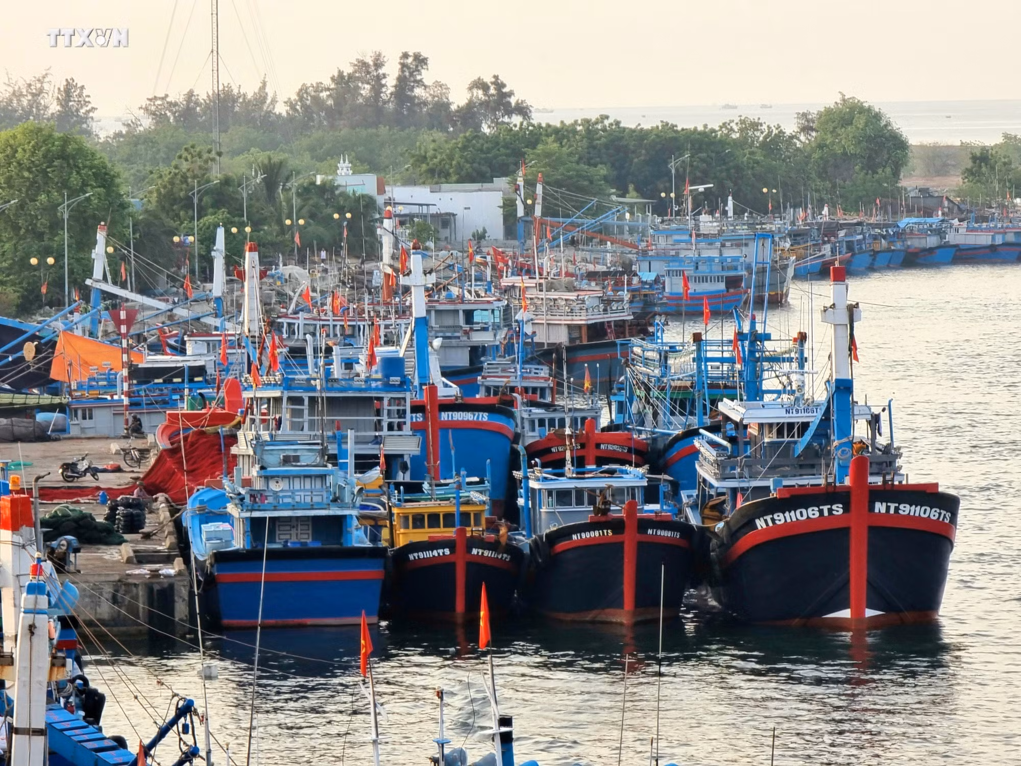 vna_potal_bien_dao_viet_nam_ngu_dan_ninh_thuan_day_manh_vuon_khoi_khai_thac_vu_ca_nam_7389103.jpg