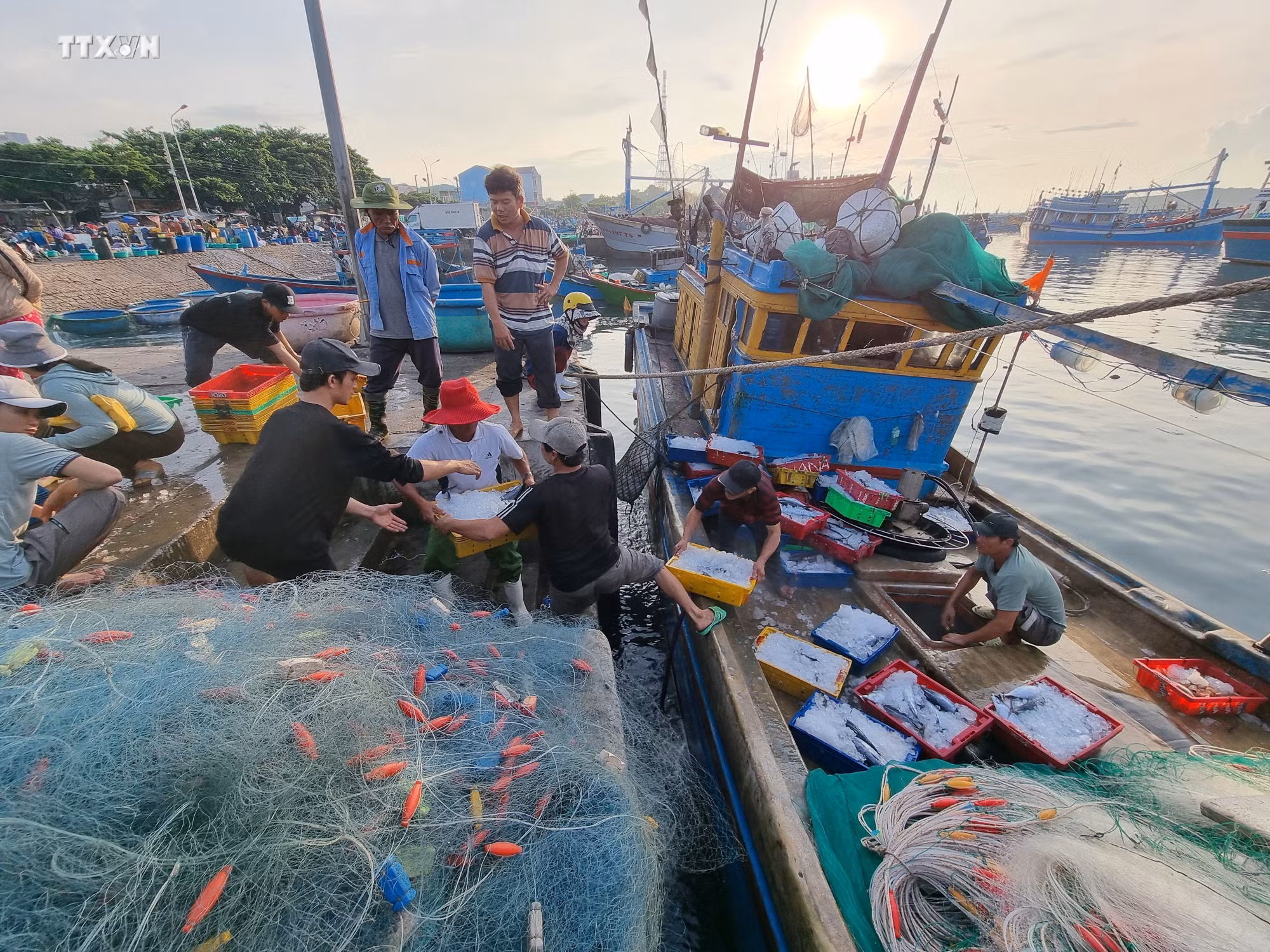 vna_potal_bien_dao_viet_nam_ngu_dan_ninh_thuan_day_manh_vuon_khoi_khai_thac_vu_ca_nam_7389108.jpg