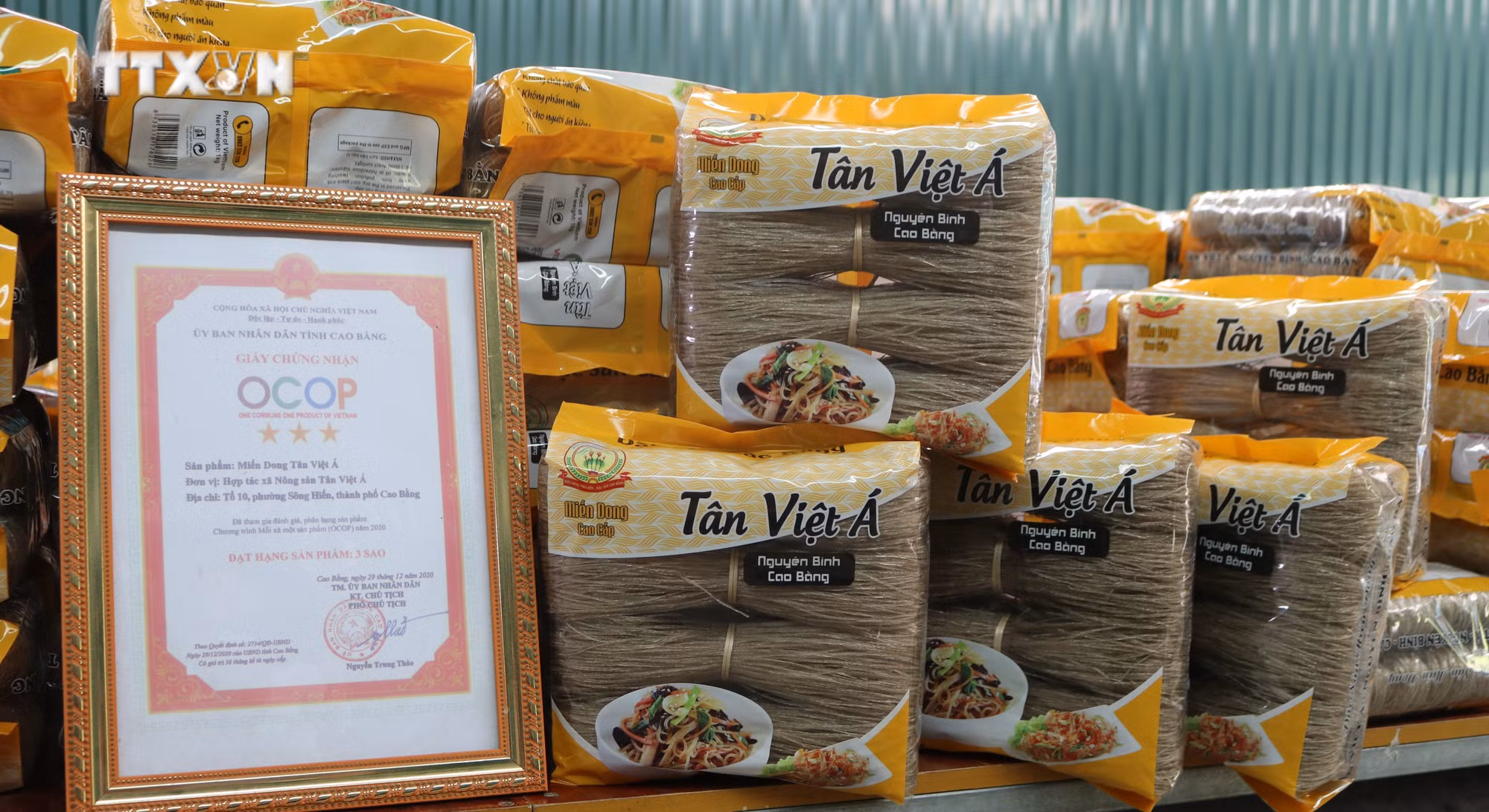 vna_potal_gop_phan_dua_thuong_hieu_mien_dong_cao_bang_vuon_xa_7013517.jpg