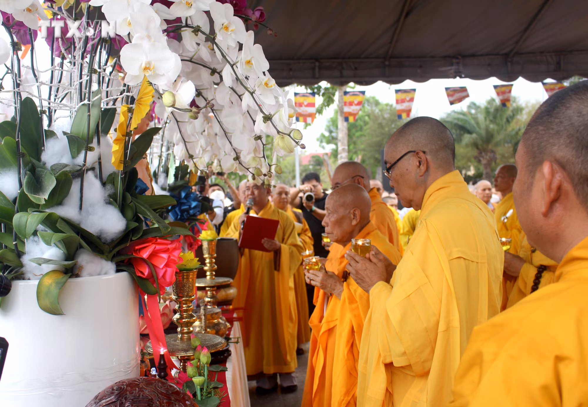 vna_potal_binh_thuan_thap_sang_7_doa_hoa_sen_tren_song_ca_ty_7377844.jpg