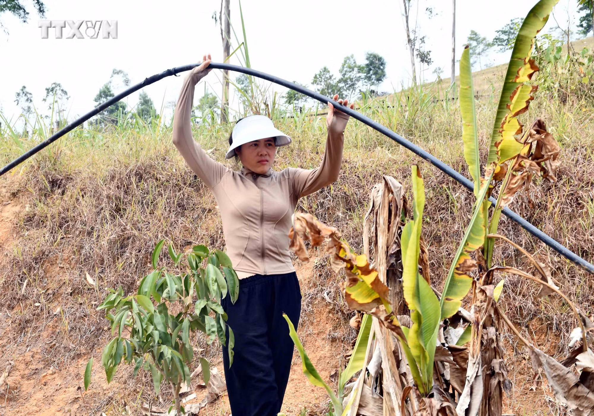 vna_potal_nguoi_dan_quang_binh_thieu_nuoc_sinh_hoat_trong_mua_nang_nong_7439711.jpg