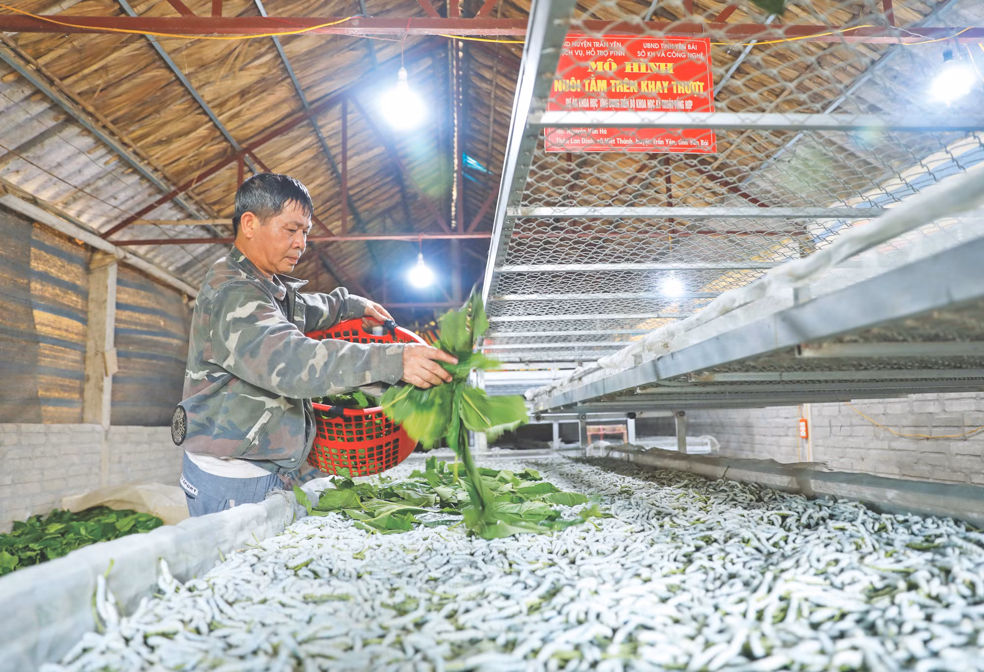 6-tuan anh px Yen Bai.JPG