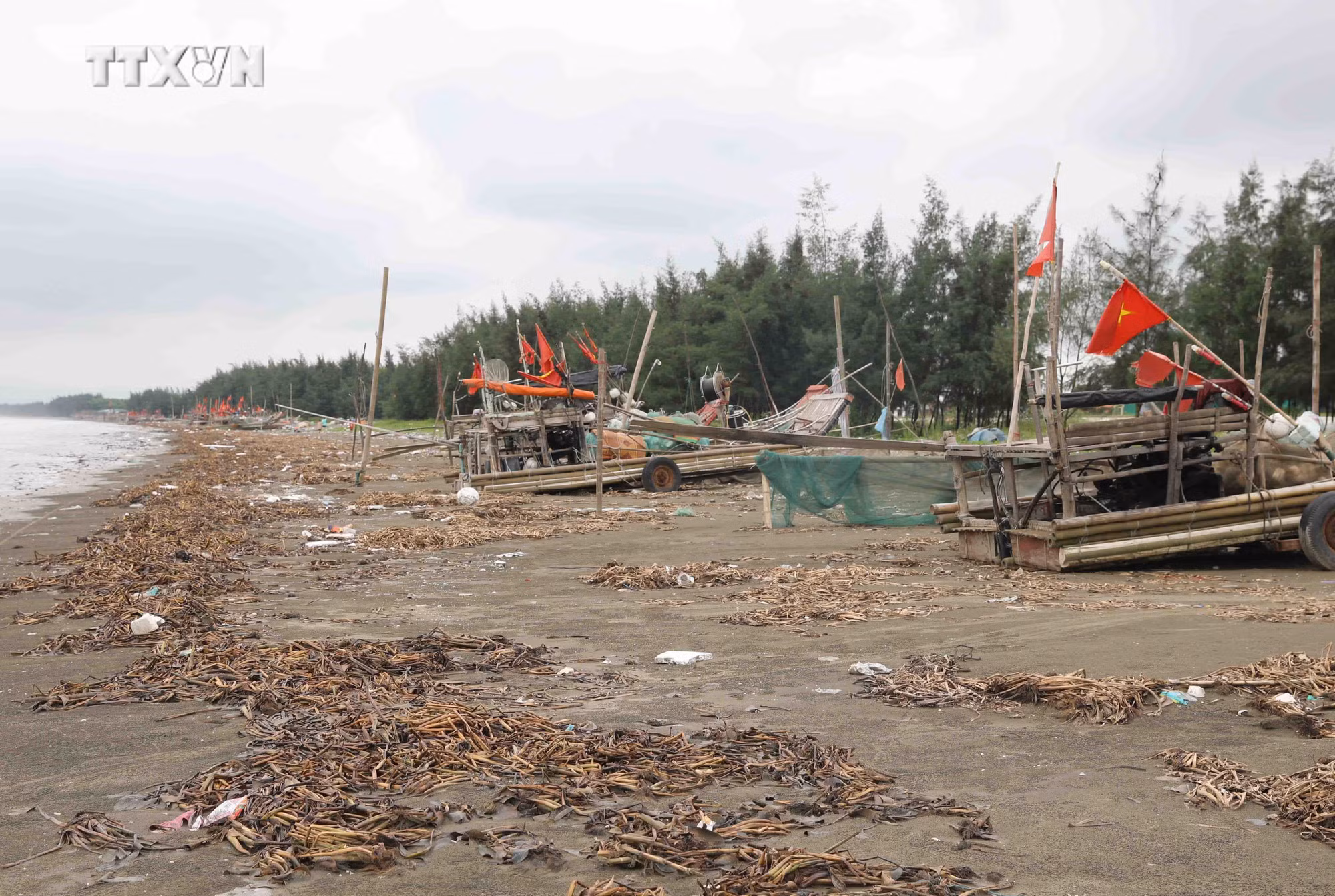 vna_potal_bai_bien_huyen_dien_chau_nghe_an_bi_“buc_tu”_vi_rac_thai_7427901.jpg