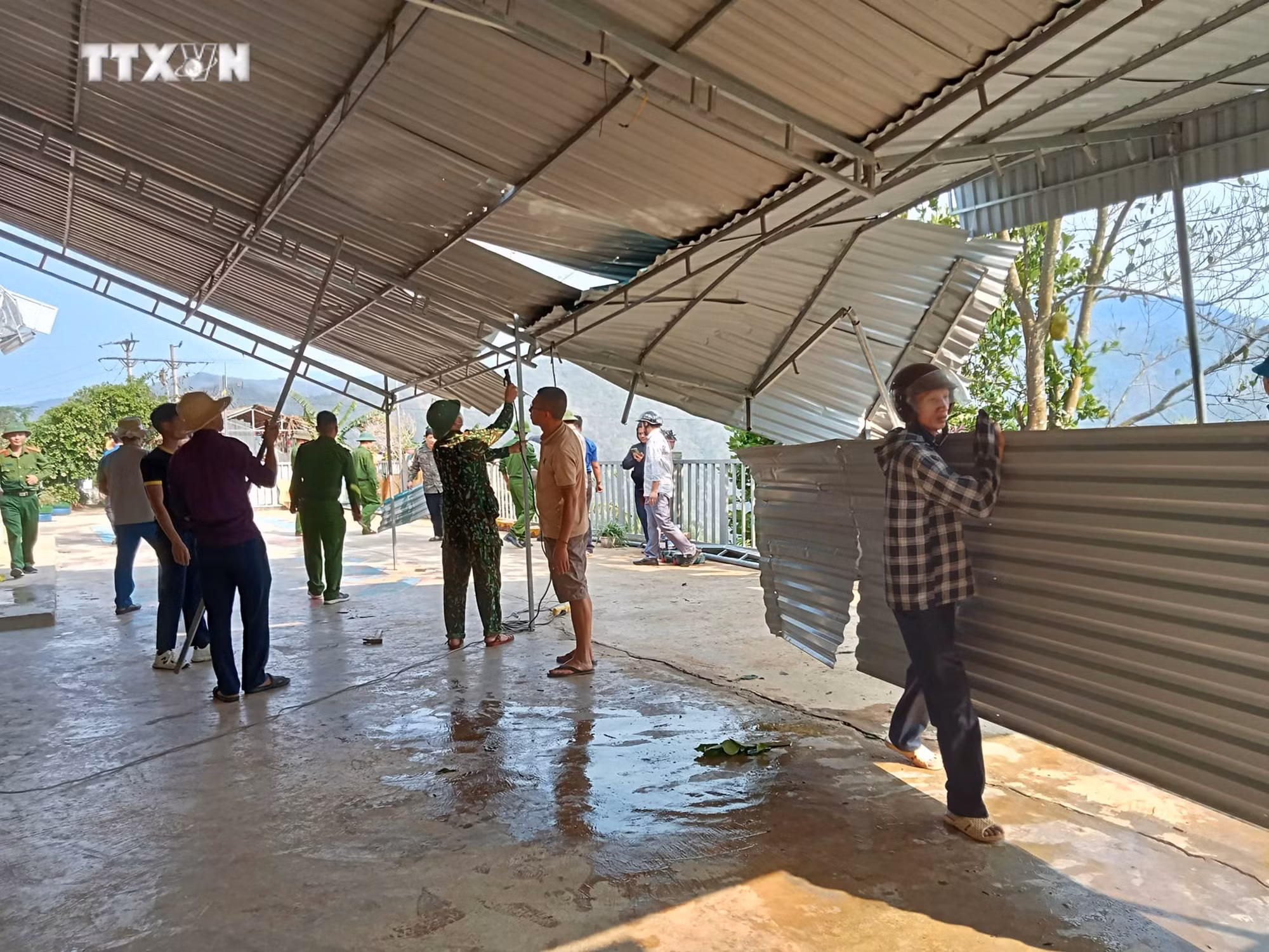 vna_potal_nghe_an_khan_truong_khac_phuc_hau_qua_giong_loc_7323719.jpg