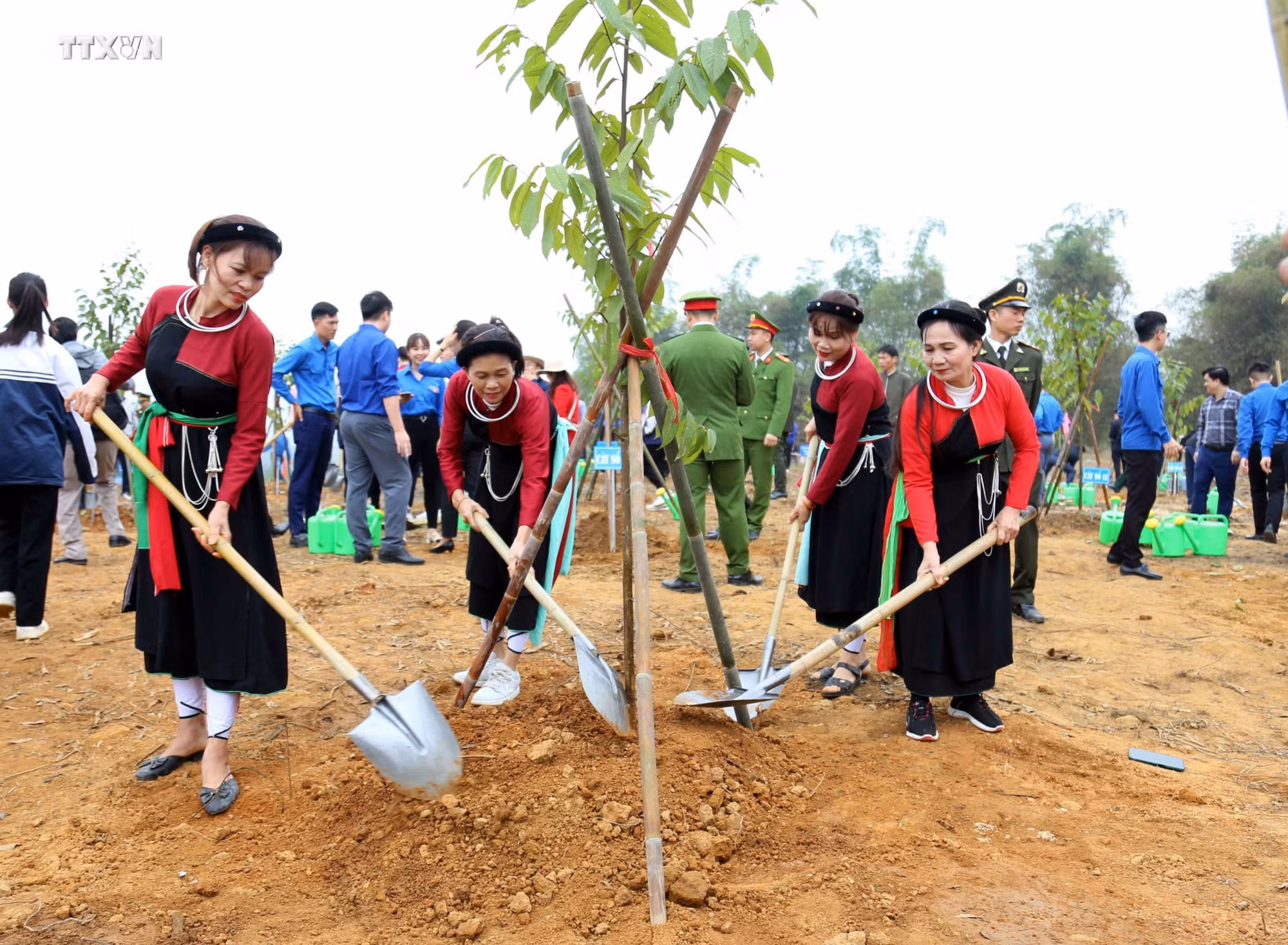 vna_potal__tuyen_quang_can_dich_truoc_1_nam_de_an_trong_mot_ty_cay_xanh_7428459.jpg