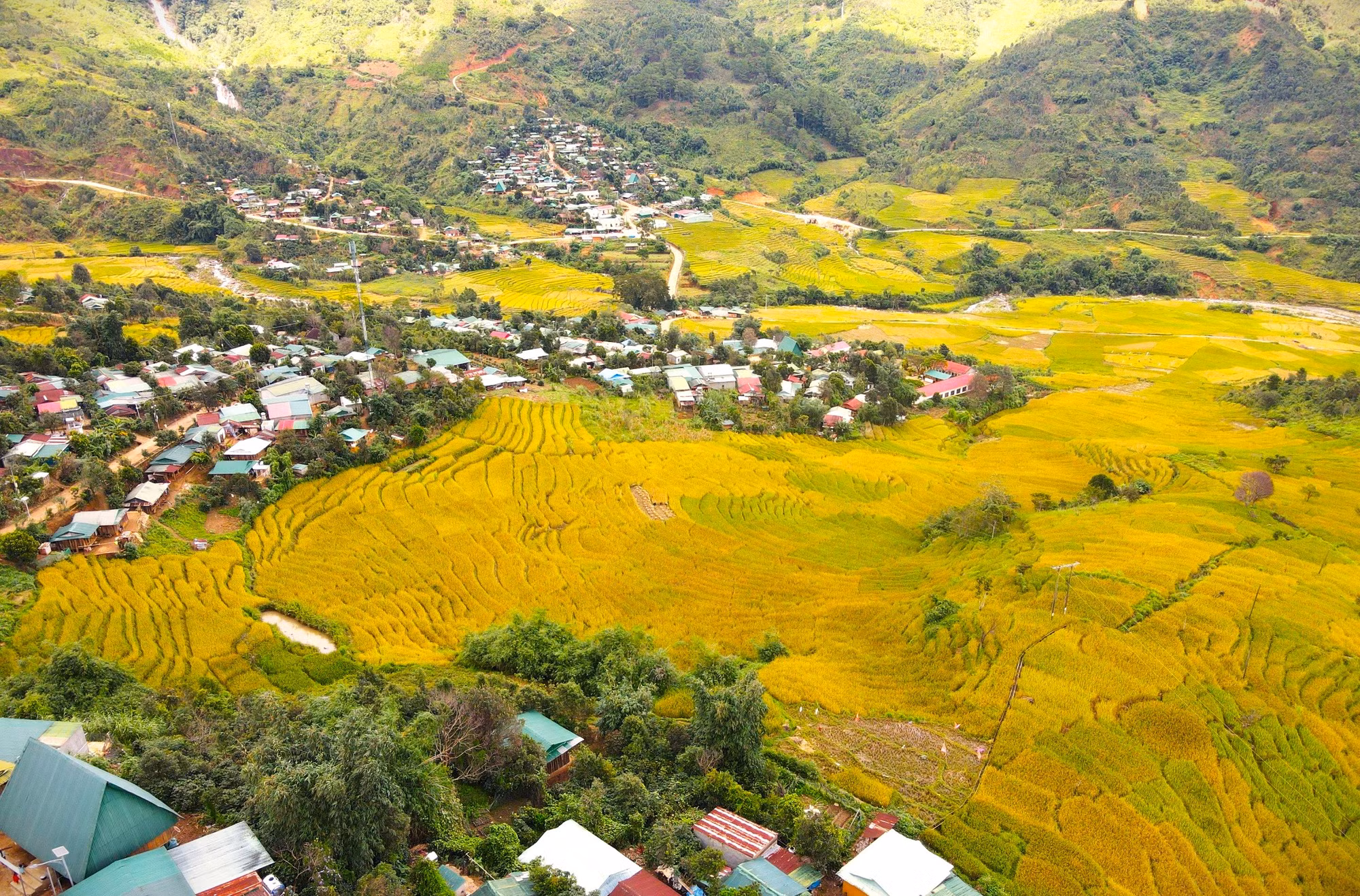 đổi thay Măng Ri.jpg